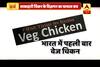 Viral Sach: Here\'s the truth behind VEGETARIAN CHICKEN