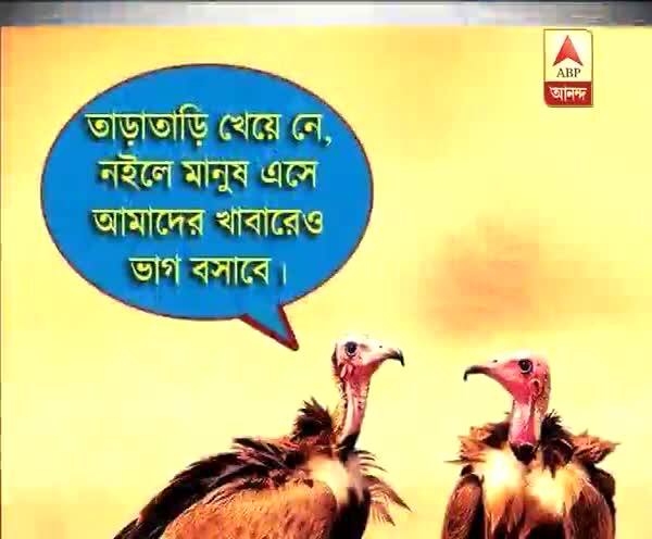  ভাগাড়কাণ্ড: ভাগাড়ের পচা মাংস নিয়ে সোশ্যাল নেটওয়ার্কিং সাইটে চলছে রঙ্গরসিকতা!