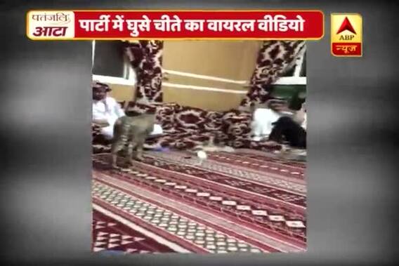Viral Sach: Video of a Cheetah part of a private party goes viral