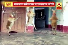 Viral Sach: Social media floods with memes on Salman Khan\'s blackbuck poaching case