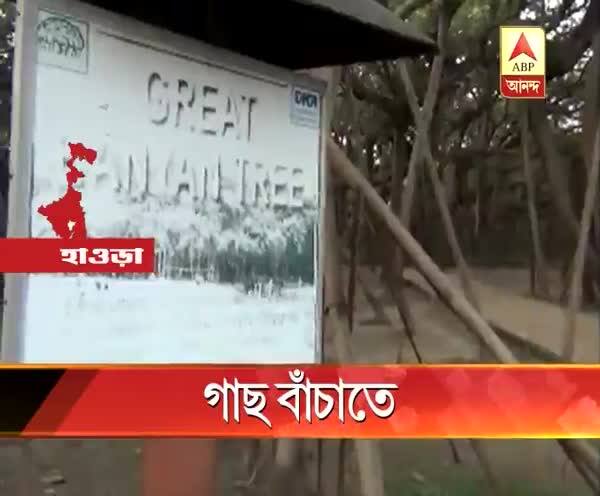  শিবপুর বোটানিক্যাল গার্ডেনে ২৫০ বছরের বটগাছকে বাঁচাতে লাগানো হচ্ছে ওষুধ