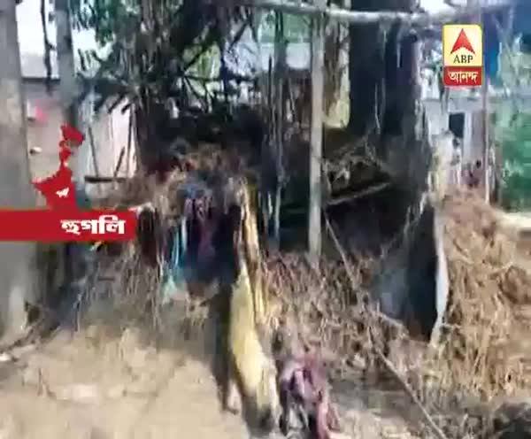  মোমবাতি থেকে ঘরে আগুন, আরামবাগে মৃত ১০ বছরের ছেলে, আহত মা ও ভাই