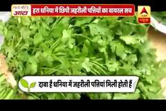 Viral Rakshak: Poisonous leaves mixed in Cilantro?