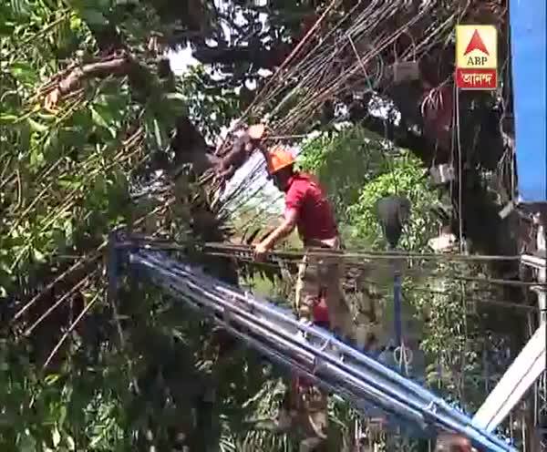  পার্ক স্ট্রিটে গাছের একাংশ ভেঙে পড়ে বিপত্তি। ব্যাহত যান চলাচল।