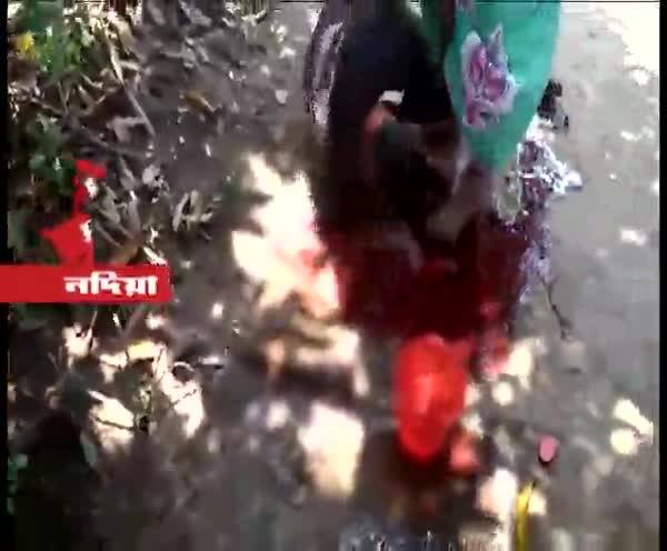  শান্তিপুরে ৫০ থেকে ৬০ জনের বাইকবাহিনী শূন্যে গুলি ছুঁড়তে ছুঁড়তে এলাকায় ঢোকে, তারপর কী হল দেখুন