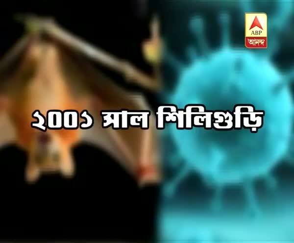  কীভাবে ছড়ায় নিপা ভাইরাস? জানাচ্ছেন বিশেষজ্ঞরা