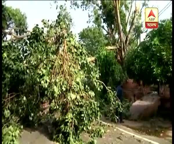  প্রবল ঝড়ে বিধ্বস্ত রাজস্থানের ভরতপুর