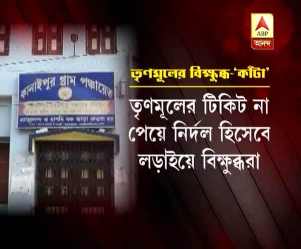  পঞ্চায়েত ভোট: হুগলিতে প্রকাশ্যে তৃণমূলের গোষ্ঠীদ্বন্দ্ব, টিকিট না পেয়ে নির্দল প্রার্থী দলের গতবারের জয়ী পাঁচ সদস্য