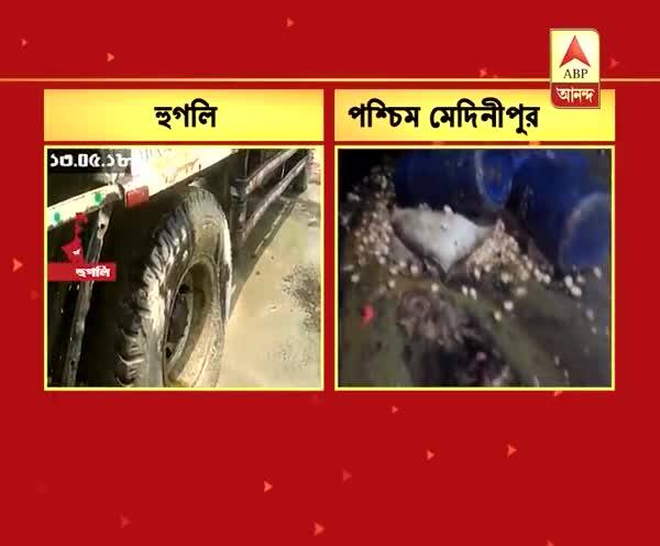  অন্ধকারে মরা মুরগি পাচার? উদ্ধার প্রচুর মরা মুরগি, পচা ডিম