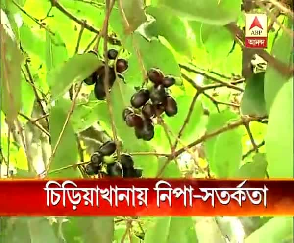  চিড়িয়াখানায় নিপা-সতর্কতা