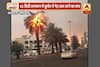 Viral Video: Tree catches fire after temperature reaches 62 degrees in Kuwait?
