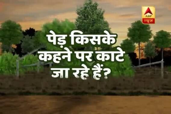 Viral Sach FULL: Know if 16,500 trees felled even after Delhi High Court\'s order