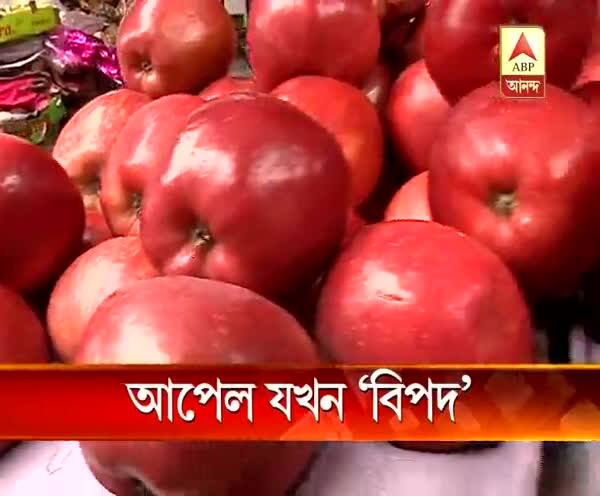  জানেন কি, ‘মোমের প্রলেপ’ দেওয়া আপেল খেলে শরীরের কী কী ক্ষতি হতে পারে??