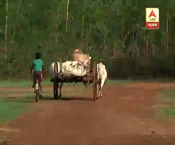  পঞ্চায়েত নির্বাচনে বিজেপি-র থেকে টাকা নিয়ে অন্তর্ঘাতের অভিযোগ, দলীয় নেতাদের বিরুদ্ধে ব্যবস্থার হুঁশিয়ারি মমতার