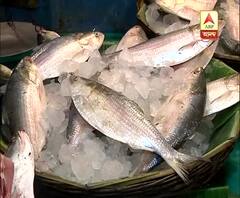 Hilsa arrived at market, what is the price today, know from our correspondent 