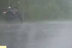 Rain Session Start In South Gujarat :Today Rain In Surat, Tapi And Navsari 