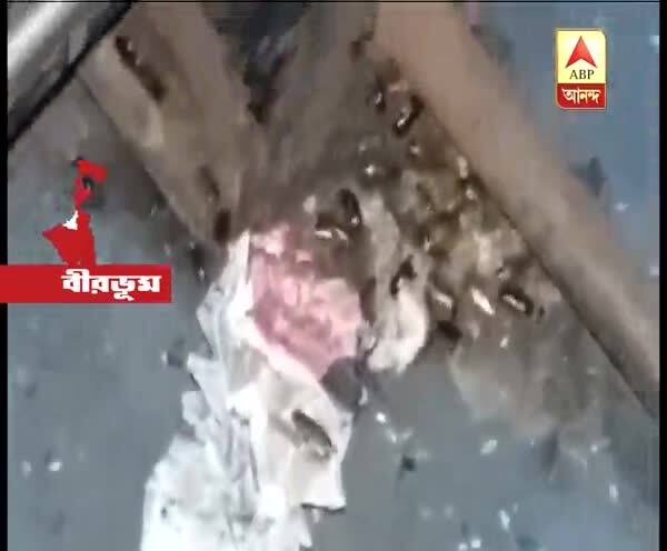  রামপুরহাট থেকে শিয়ালদাগামী ট্রেনে আরশোলার উৎপাত, বিক্ষোভ যাত্রীদের