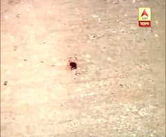 Youth fail mysteriously from balcony of second floor, police begins investigation