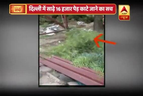 Viral Sach: Video claims 16,500 tress cut down despite of Delhi High court\'s order
