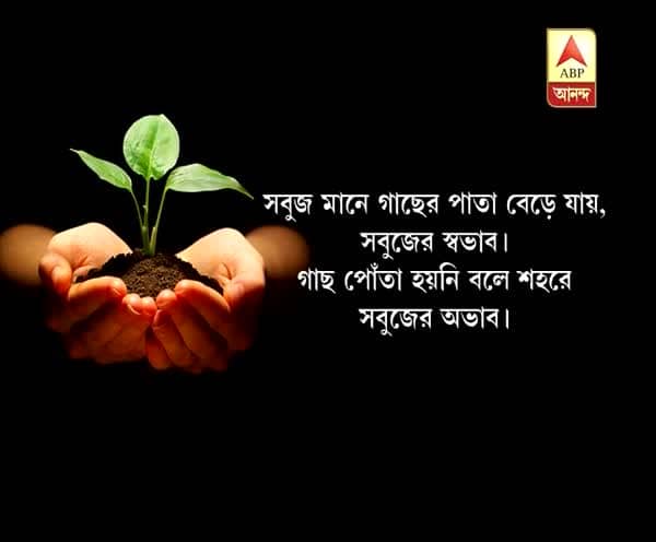 তৃণমূলের ‘গোষ্ঠীদ্বন্দ্ব’? পুরুলিয়া শহরে অযত্নে মৃত্যু বহু পাম গাছের তৃণমূলের ‘গোষ্ঠীদ্বন্দ্ব’? পুরুলিয়া শহরে অযত্নে মৃত্যু বহু পাম গাছের