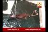 Cow rescued from Well in limbadi