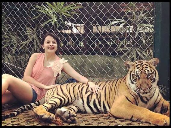 TV bahu Shrenu Parikh\'s Adventurous Avatar 