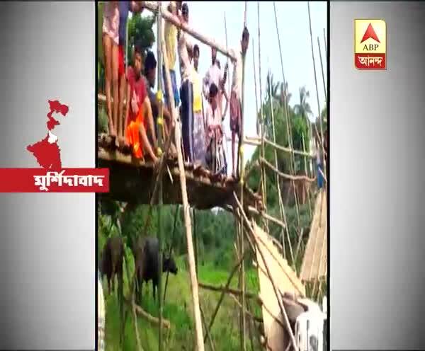  নওদায় বাঁশের সাঁকো ভেঙে খালে পড়ে গেল সিআইডি-র গাড়ি, আহত  কয়েকজন