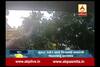 Tree falls during heavy rain in surat