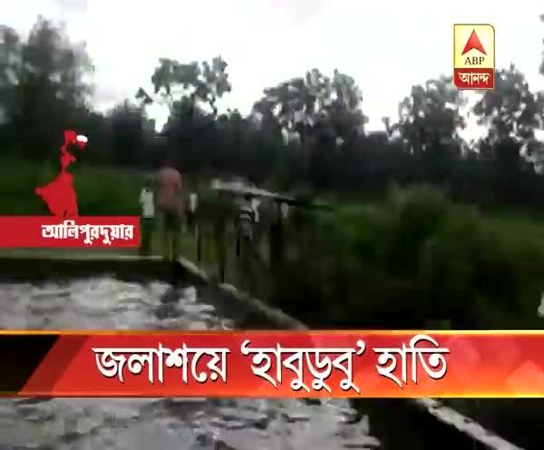  কৃত্রিম জলাশয়ে ‘হাবুডুবু’ হাতি!