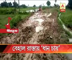 ময়ূরেশ্বরে বেহাল রাস্তায় ধানের চারা পুঁতে বিক্ষোভ এলাকাবাসীর