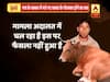 Viral Sach: Ignore rumors spreading over Rakbar Khan lynching case, here is the complete truth