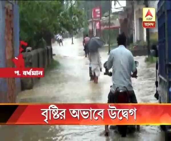  বৃষ্টির অভাবে ক্ষতি হচ্ছে ধানের, উদ্বেগে বীরভূমের চাষিরা