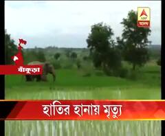 হাতির হানায় মৃত্যু