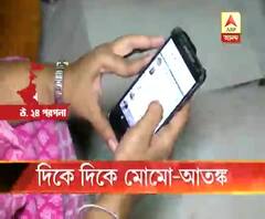 ফের মোমো আতঙ্ক, এবার সোদপুরে তথ্যপ্রযুক্তি কর্মীকে মোমোর নাম করে হোয়াটসঅ্যাপ মেসেজ