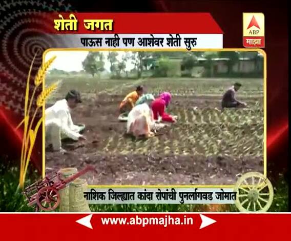 712 | नाशिक | पाऊस नाही तरीही कांदा रोपांची पुर्नलागवड सुरु