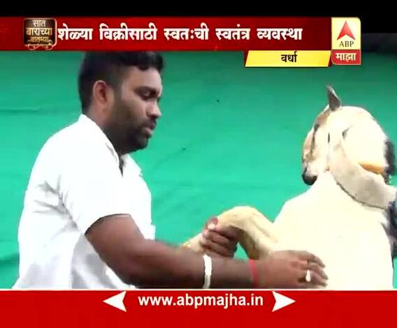 712 : वर्धा : हरीश चौधरी - शेळीपालनातून लाखोंचा नफा मिळवणारा युवा शेतकरी