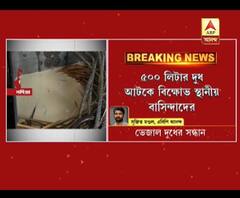 নদিয়ায় ভেজাল ঘিয়ের পর এবার ভেজাল দুধের সন্ধান
