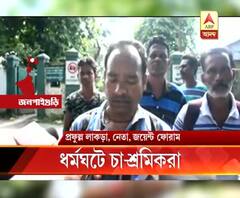 ১৭২ নয়, দৈনিক ২৩৯ টাকা মজুরির দাবিতে তরাই ও ডুয়ার্সে চা বাগানে অনির্দিষ্টকালের শ্রমিক ধর্মঘট