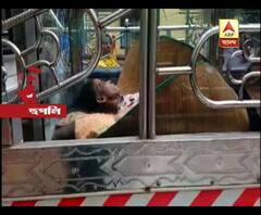 পারিবারিক অশান্তির জেরে মাকে লাঠি দিয়ে ‘পিটিয়ে খুন’ পেশায় সিভিক ভলান্টিয়ার ছেলের