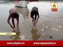 વડોદરાઃ શિનોરના માલસર ગામ પાસે નર્મદા નદીમાંથી રદ થયેલી ચલણી નોટો મળી, જુઓ વીડિયો 