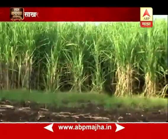 712 | साखर निर्यातीसाठी कारखान्यांना अनुदान मिळणार