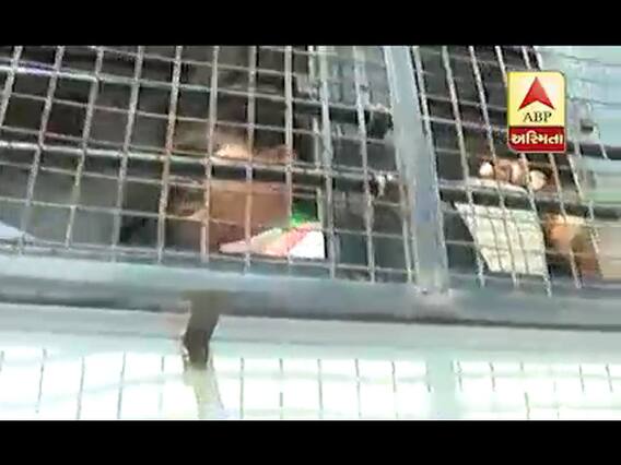 કોંગ્રેસ પ્રભારી રાજીવ સાતવે સામેથી વ્હોરી ધરપકડ, જુઓ વીડિયો