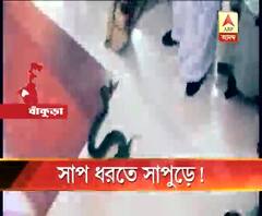 বাঁকুড়ার কলেজে ময়াল সাপ নিয়ে হুলুস্থূল