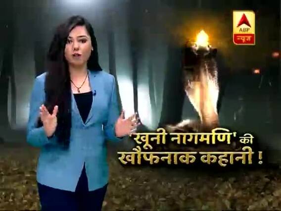 सच्ची घटना: खूनी नागमणि की खौफनाक कहानी !