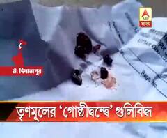 চোপড়ায় তৃণমূলের গোষ্ঠীকোন্দলের জেরে বোমাবাজি, এলোপাথাড়ি গুলি, জখম দলীয় প্রধানের দাদা, অভিযোগ অস্বীকার