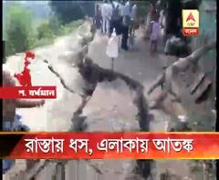 দুর্গাপুরের সুকান্ত পল্লিতে বর্ধমান ক্যানালের পাশে রাস্তায় ধস, আতঙ্কিত স্থানীয়রা