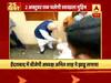 TOP 25: ABP न्यूज़ पर दिनभर की बड़ी खबरें