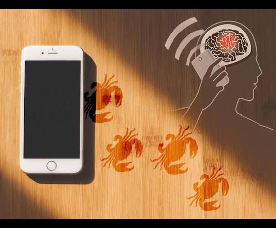 মুঠোফোনে মারণ রোগ, স্মার্টফোন ব্যবহার ৪০০ গুণ বাড়ায় শিশুদের ক্যান্সার হওয়ার সম্ভাবনা, বলছেন মুম্বই আইআইটি-র গবেষক