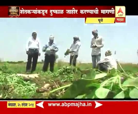 712 | धुळे | पावसाच्या मोठ्या खंडामुळे खरीप पिकांचं नुकसान