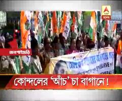 পঞ্চায়েতে বোর্ড গঠনের আগে জলপাইগুড়িতে প্রকাশ্যে শাসক-কোন্দল, করলাভ্যালি চা-বাগানে কাজ বন্ধ করে তৃণমূলের শ্রমিক সংগঠনের বিক্ষোভ 